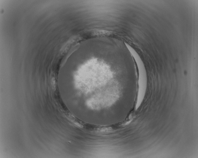 X0000067920716200605112008