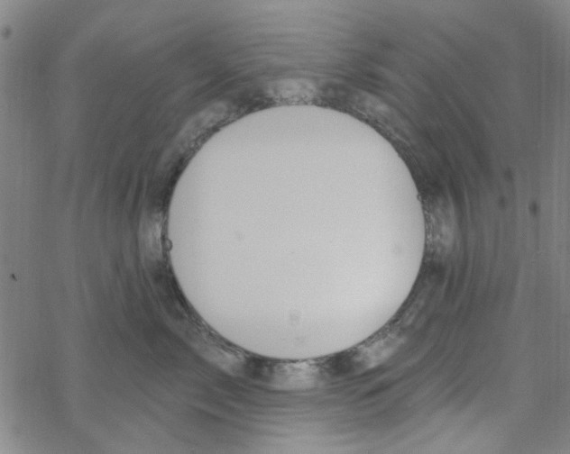 X0000067920717200605112008