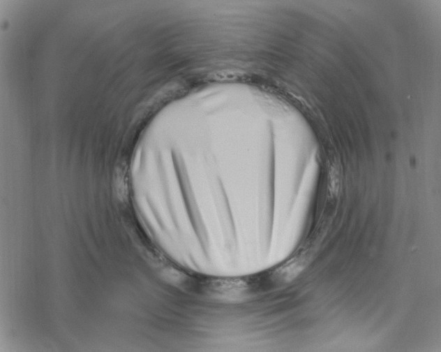 X0000067920719200605112008