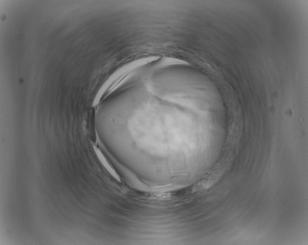 X0000067920720200605112008