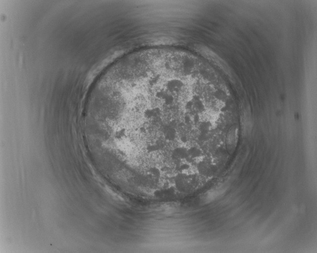 X0000067920721200605112007