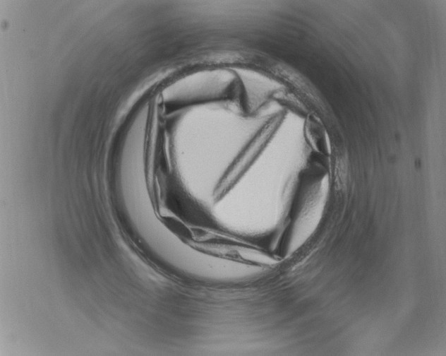 X0000067920722200605112007