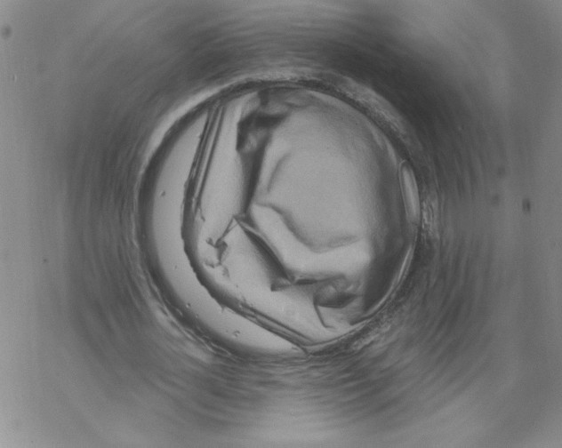 X0000067920724200605112007