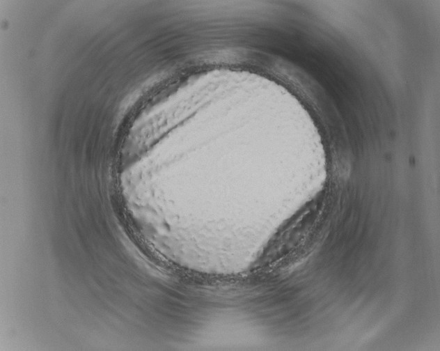 X0000067920725200605112007