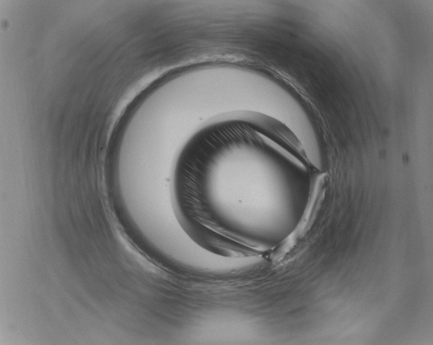 X0000067920726200605112007