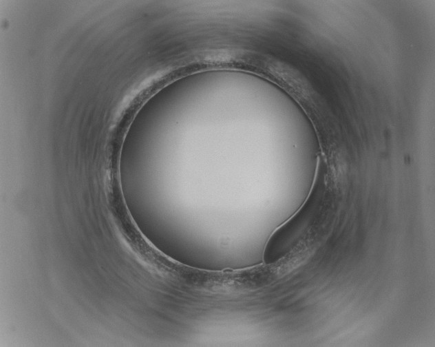 X0000067920728200605112007