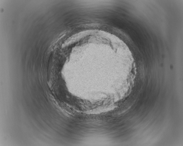 X0000067920729200605112007