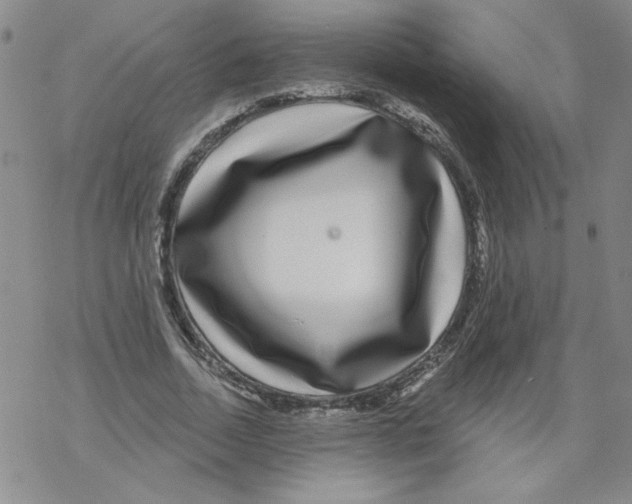 X0000067920730200605112007