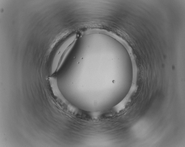 X0000067920731200605112007