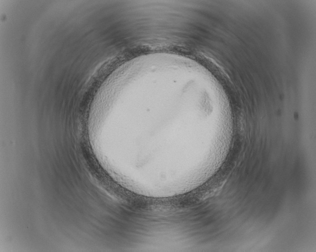 X0000067920733200605112008