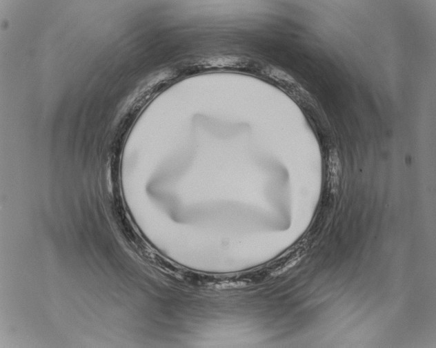 X0000067920734200605112008