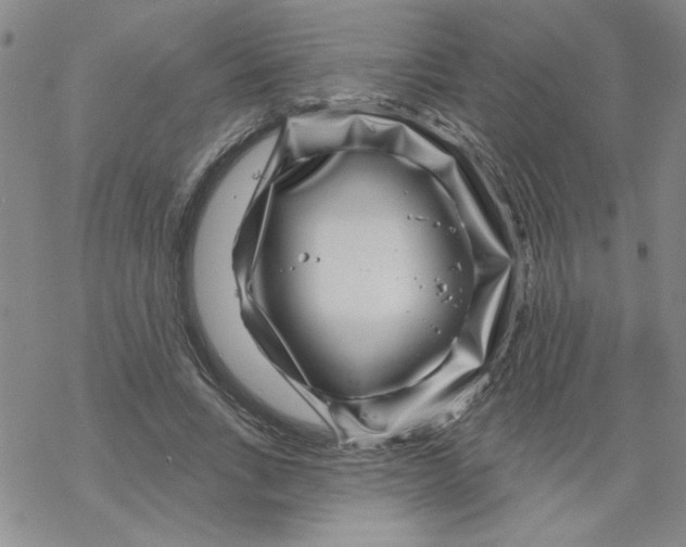 X0000067920735200605112008