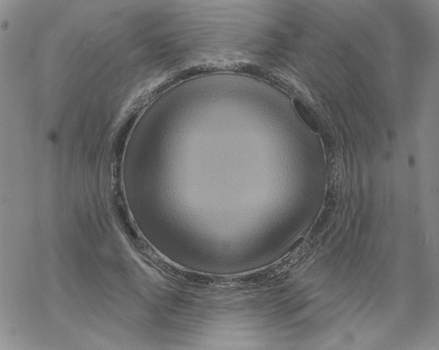 X0000067920736200605112008