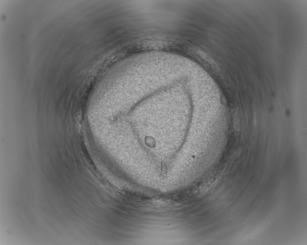 X0000067920737200605112008