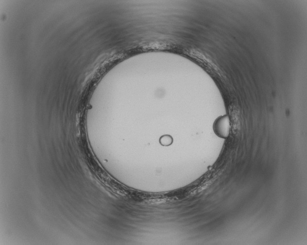 X0000067920738200605112008