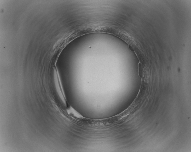 X0000067920740200605112008