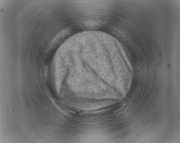 X0000067920742200605112008