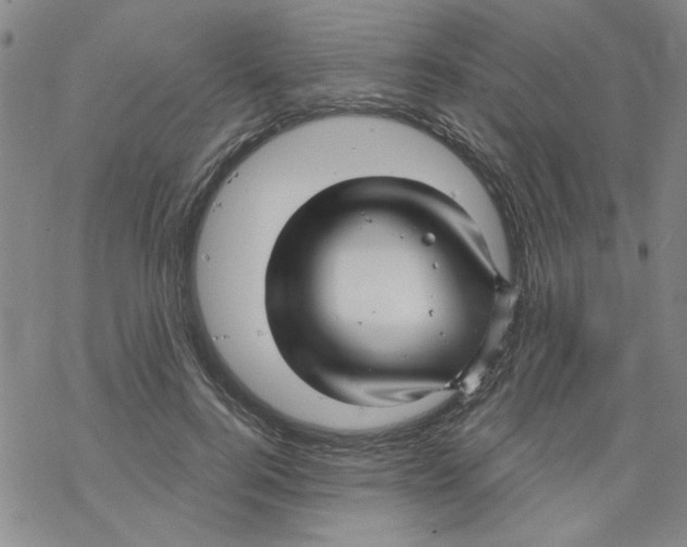 X0000067920744200605112008