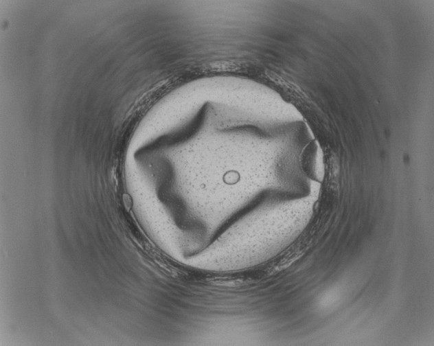 X0000067920746200605112008