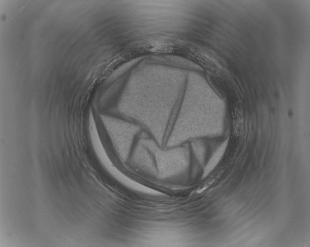 X0000067920748200605112008