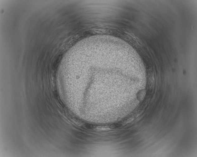 X0000067920749200605112008