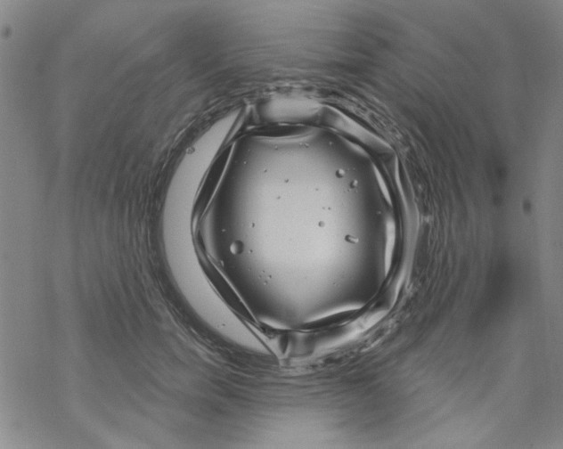 X0000067920750200605112008