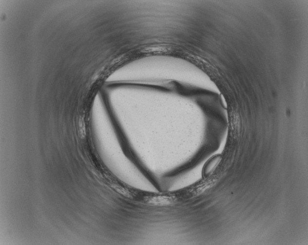 X0000067920751200605112008