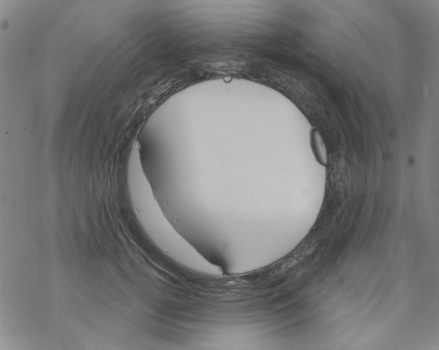 X0000067920752200605112008