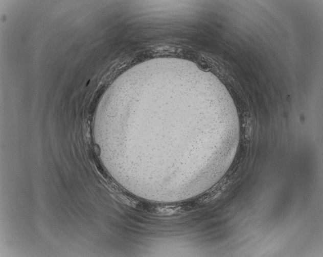 X0000067920753200605112008