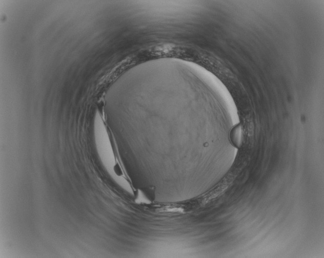 X0000067920754200605112008