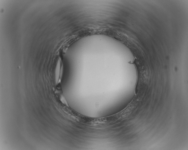 X0000067920756200605112008