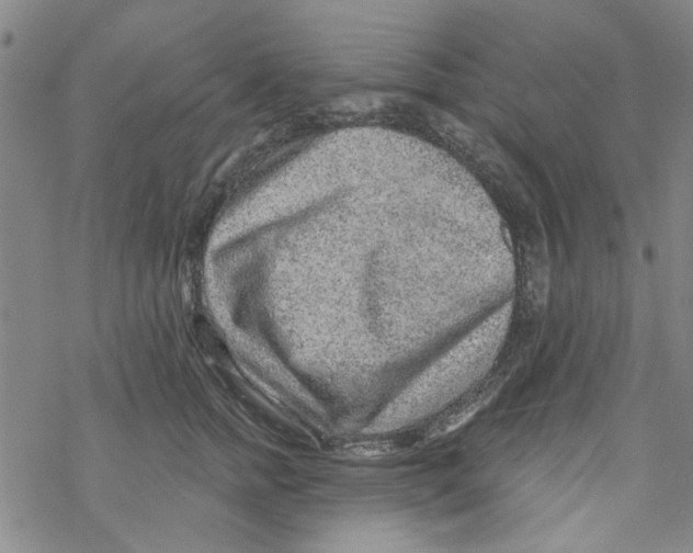 X0000067920758200605112008