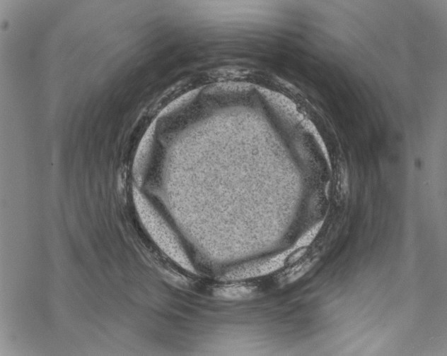 X0000067920759200605112008