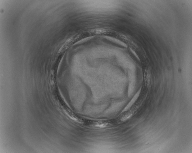 X0000067920760200605112008