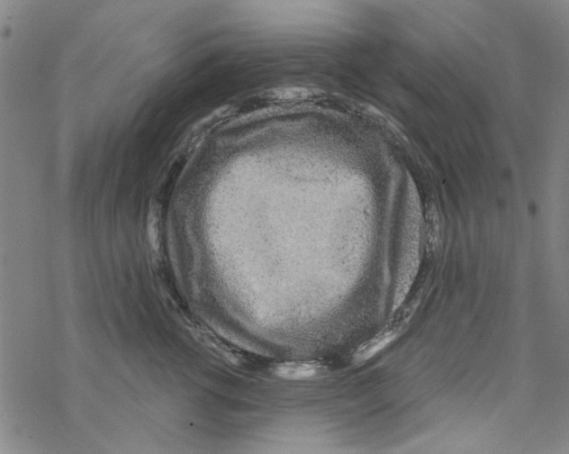 X0000067920762200605112008