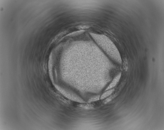 X0000067920763200605112008