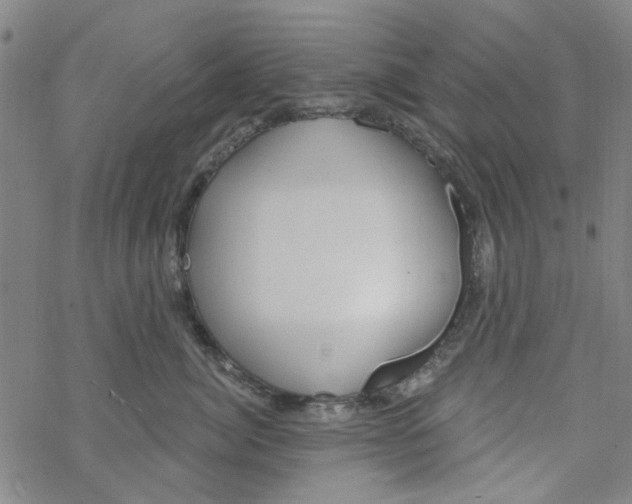 X0000067920764200605112008