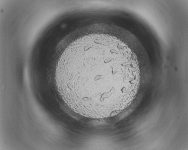 X0000067920765200605112008