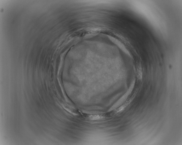 X0000067920766200605112008