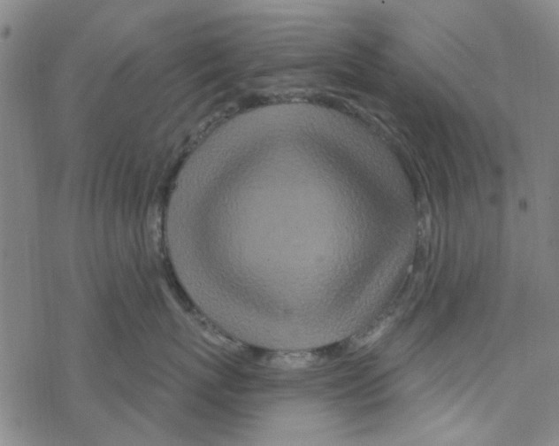 X0000067920767200605112008