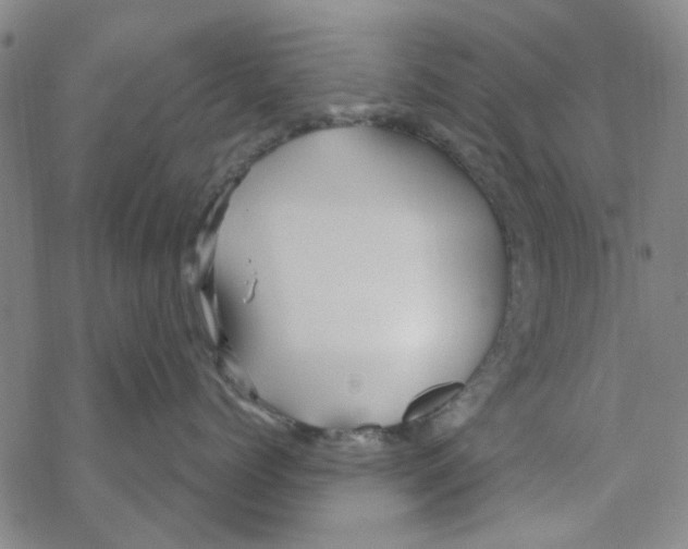 X0000067920768200605112008