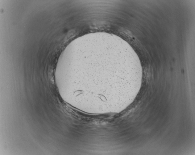 X0000067920770200605112007