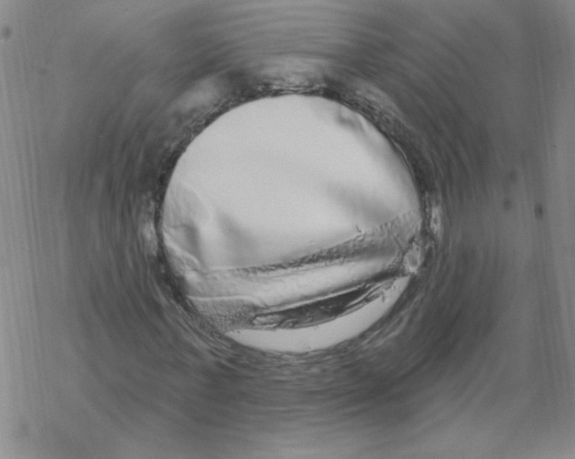 X0000067920771200605112007