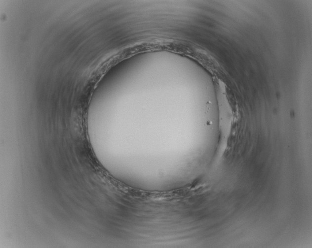 X0000067920773200605112007