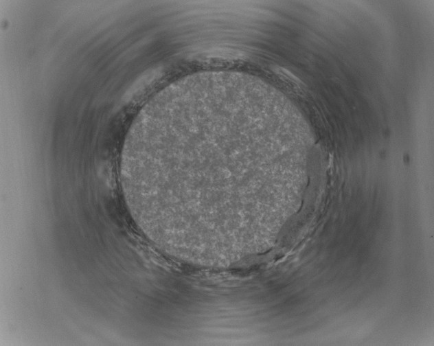 X0000067920774200605112007