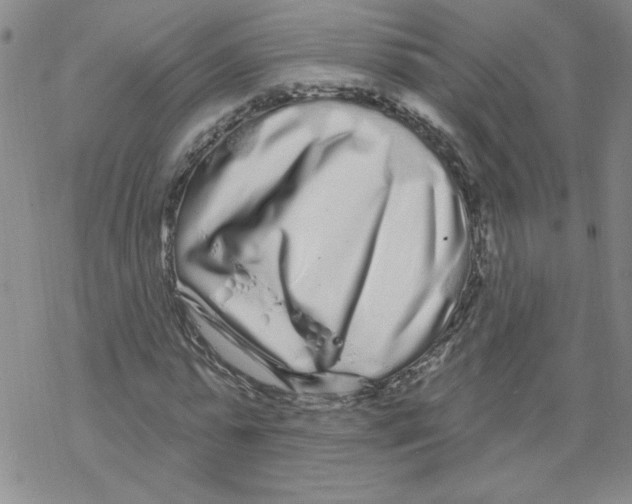 X0000067920775200605112007