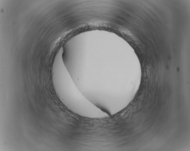 X0000067920776200605112007