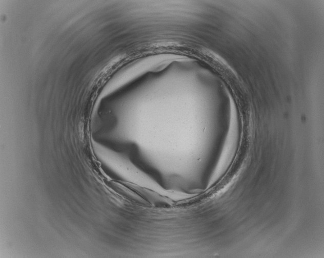 X0000067920777200605112007