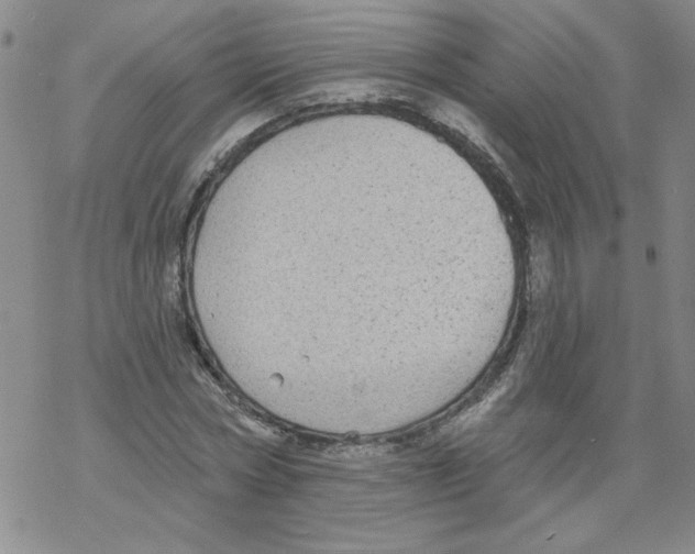 X0000067920778200605112007