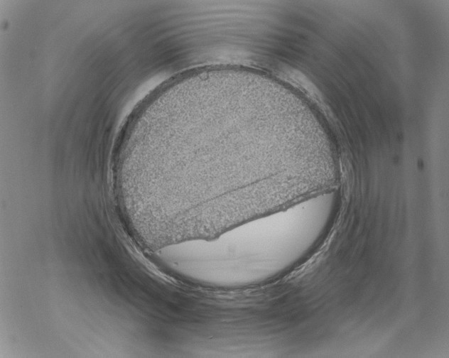 X0000067920780200605112007